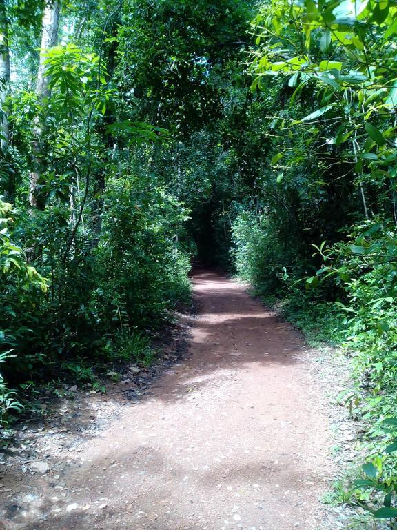Sobaco Nature Resort Бентота Екстериор снимка