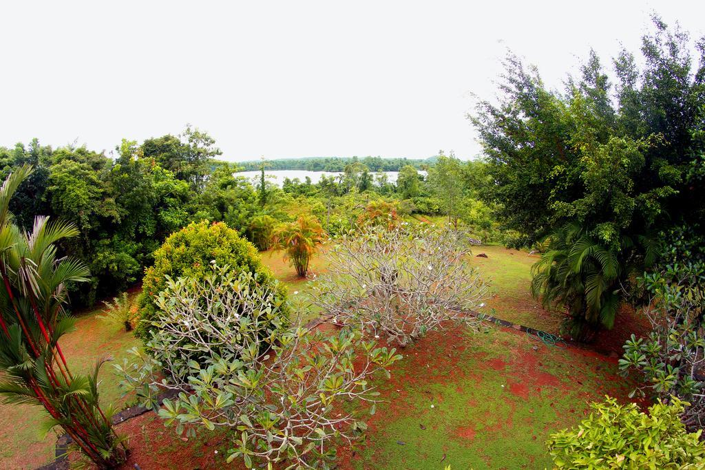 Sobaco Nature Resort Бентота Екстериор снимка